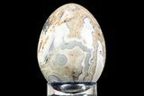 Polished Crazy Lace Agate Egg - Mexico #308739-1